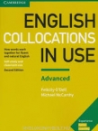 English Collocations in Use 2nd edition