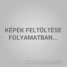 Nyelvtanulk tllcsomagja ANGOL szkrtya(Biz)