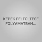 Nyelvtanulk tllcsomagja ANGOL szkrtya(Biz)