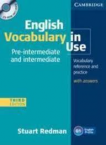 English Vocabulary in Use Pre-int.+CD