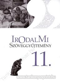 Sznes irodalom 11.SZGY. /NAT